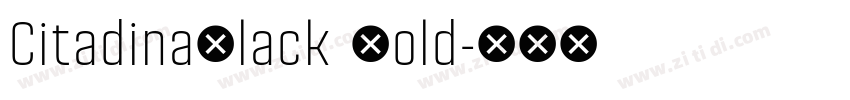 CitadinaBlack Bold字体转换